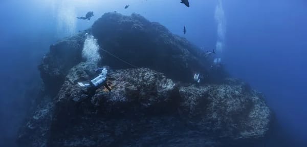 International Coastal Cleanup Day 2026