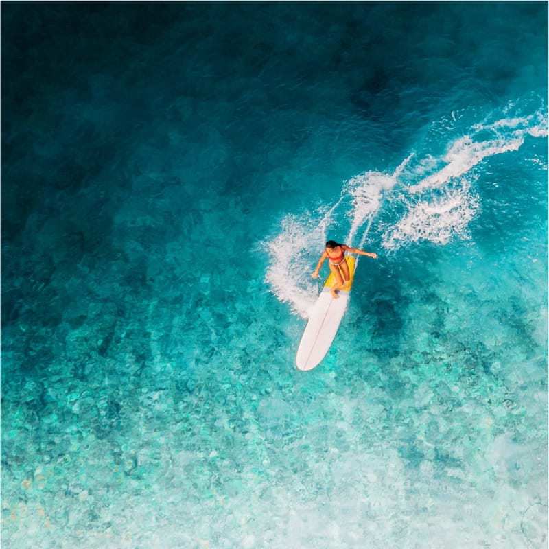 Feel Surf School students